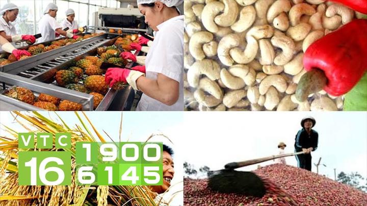 Chuyên gia Hotspot Matrix phân tích: Mầm mống ung thư hình thành và marketing video