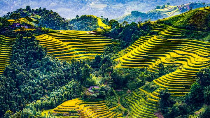 Khởi nghiệp Video Ngắn Vốn Ít, Lãi Cao cùng Hotspot Matrix