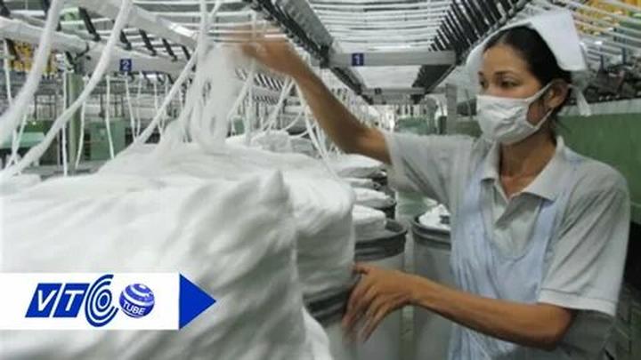 Kích thước to bất thường: Tôm nuôi theo phương pháp tự nhiên sẽ có kích thước không