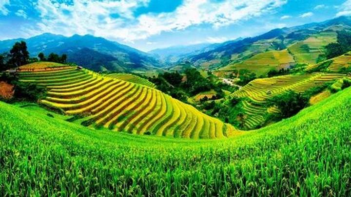 Hotspot Matrix: Biến Dương Vũ - Đạo diễn GenZ đứng thành cơ hội marketing đột phá